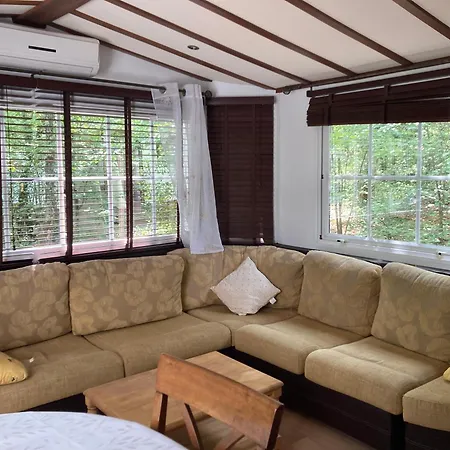 Camping Le Clos Des Capitelles *